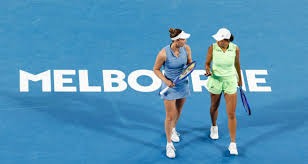 [德甲]第16轮：霍芬海姆VS沃尔夫斯堡