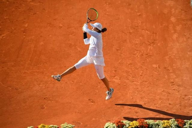 寐以求的瑰 寐以求的瑰